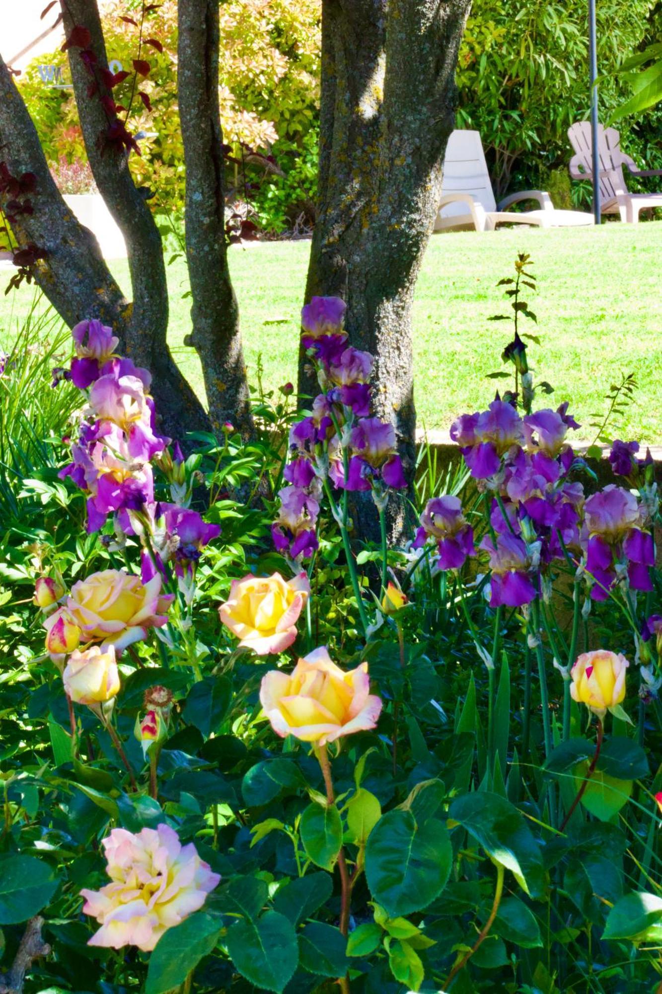 La Bastide Des Roses Bed & Breakfast Saint-Julien-d'Asse Exterior photo